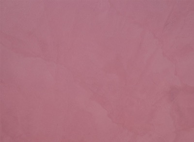 SmartCOVER color Burdeos
