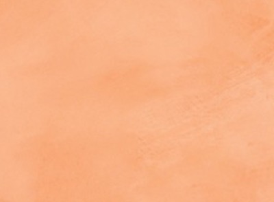 SmartCOVER color Jínjol