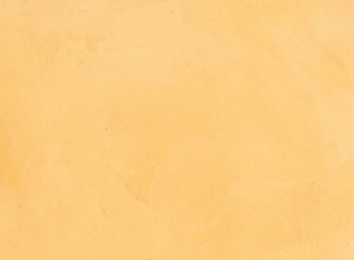 SmartCOVER color Mimosa