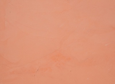 SmartCOVER color Naranja