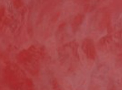 SmartCOVER color Rojo rubí