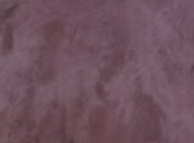 SmartCOVER color Vino